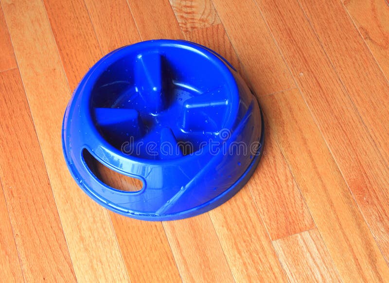 Pet Bowl with raised pieces to prevent dogs or cats from eating fast on hardwood floor. Pet Bowl with raised pieces to prevent dogs or cats from eating fast on hardwood floor