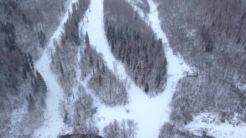 寄生虫视图冬天滑雪和雪板运动在滑雪在冬天手段倾斜