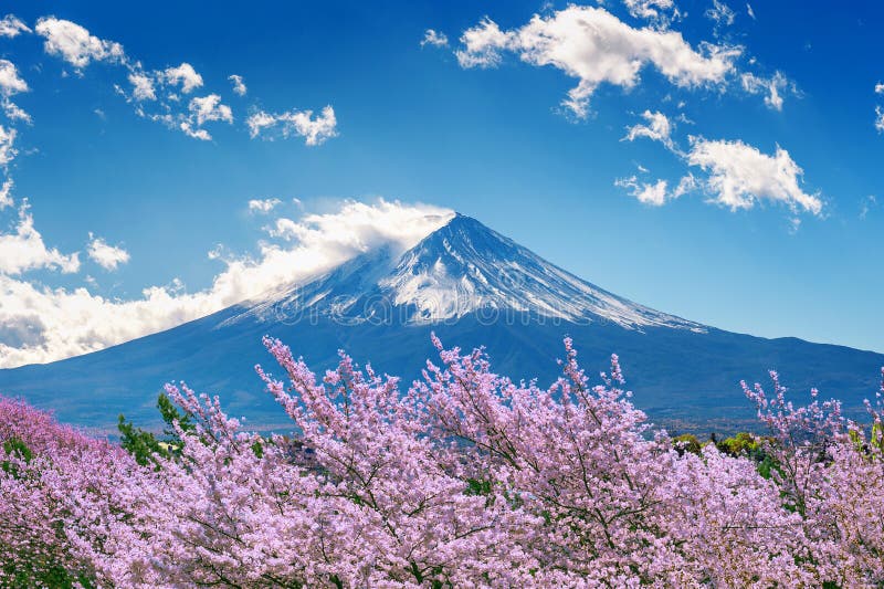 富士山和樱花在春天，日本