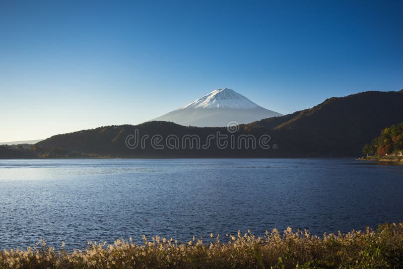 富士山有湖视图