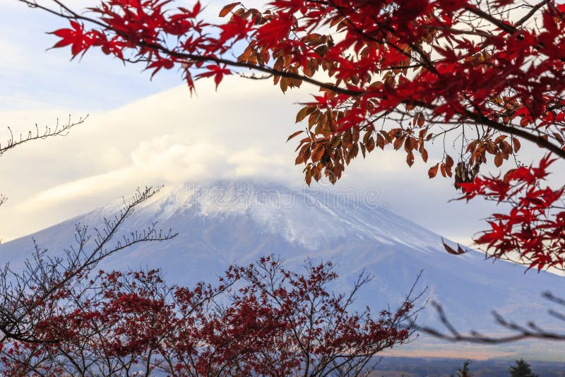 View of mount Fuji from Shintoist temple at Shimoyoshida, Fujioshida, Kyushu, Japan. View of mount Fuji from Shintoist temple at Shimoyoshida, Fujioshida, Kyushu, Japan