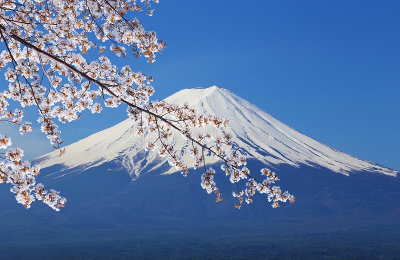富士山，从湖Kawaguchiko的看法