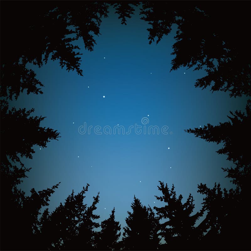 Vector background of blue night sky with stars and dark forest trees. circle of black pine trees forming copyspace. Vector background of blue night sky with stars and dark forest trees. circle of black pine trees forming copyspace