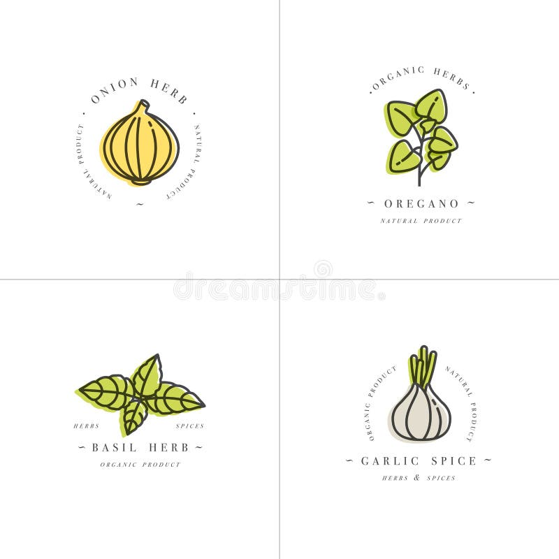 Vector set design colorful templates logo and emblems - herbs and spices. Italian herb icon. Logos in trendy linear style isolated on white background. Vector set design colorful templates logo and emblems - herbs and spices. Italian herb icon. Logos in trendy linear style isolated on white background