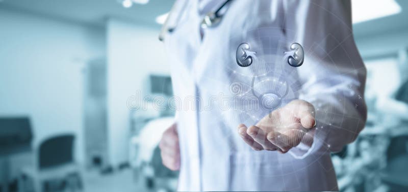 小儿泌尿科数字诊断 免版税库存图片
