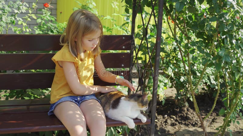 小女孩轻轻抚坐在长椅上的流浪猫，它有美丽的景观