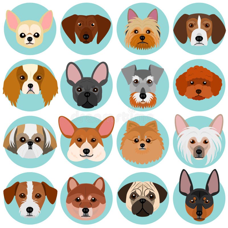 Cute small dog faces set with circle. Cute small dog faces set with circle