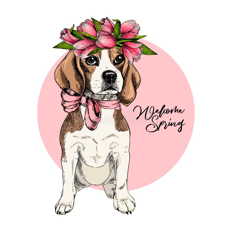 小猎犬狗佩带的郁金香冠画象 受欢迎的春天 手拉的色的传染媒介例证 刻记详细 库存例证 小猎犬狗佩带的郁金香冠画象 受欢迎的春天 手拉的色的传染媒介例证 刻记详细 库存例证