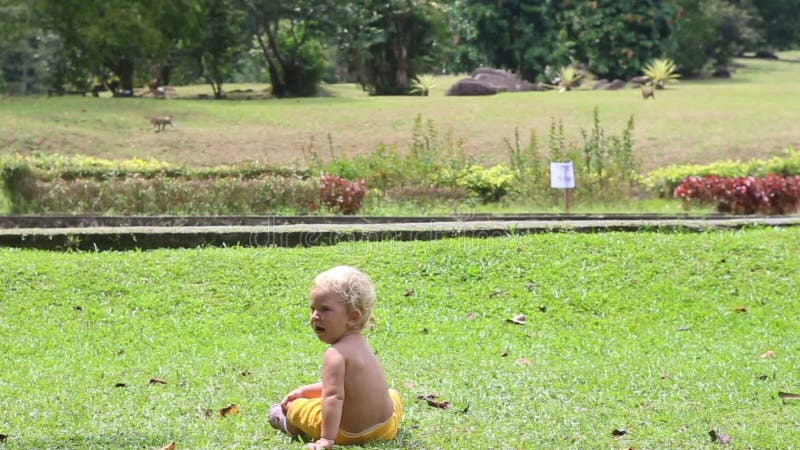 小白肤金发的女婴在公园