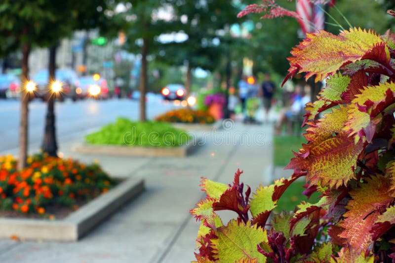 小镇秋日市中心景象 库存照片