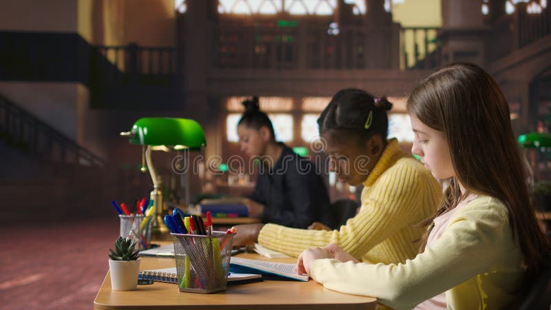 少女在图书馆看书以重视强制性文学 免版税库存照片