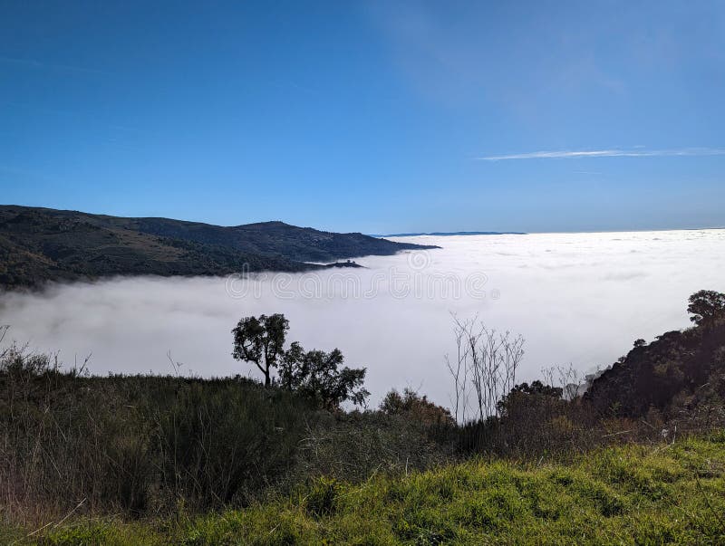 A sea of fog over the mountain on a cold winter day. A sea of fog over the mountain on a cold winter day