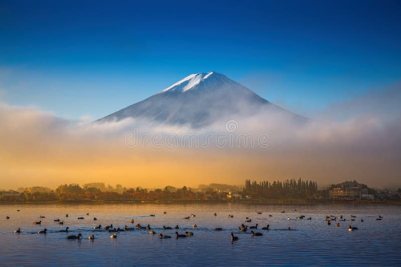 山富士和Kawaguchiko湖