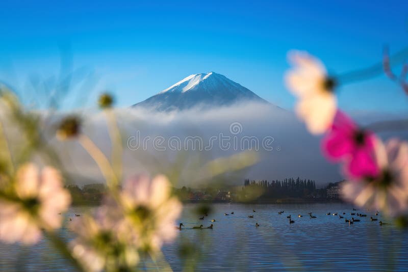 山富士和有早晨薄雾的Kawaguchiko湖在秋天s