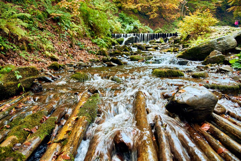 Mountain stream river with rapids and logs in autumn forest. Mountain stream river with rapids and logs in autumn forest