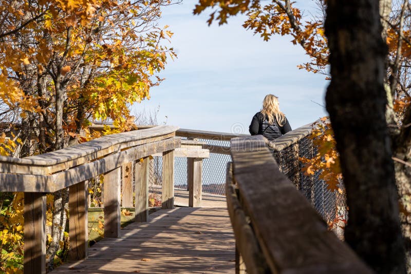 30-35岁的年轻女性在密歇根州Porcupine Mountains Wilderness State Park州立公园的木板路上俯瞰着美景 免版税库存图片 30-35岁的年轻女性在密歇根州Porcupine Mountains Wilderness State Park州立公园的木板路上俯瞰着美景 免版税库存图片