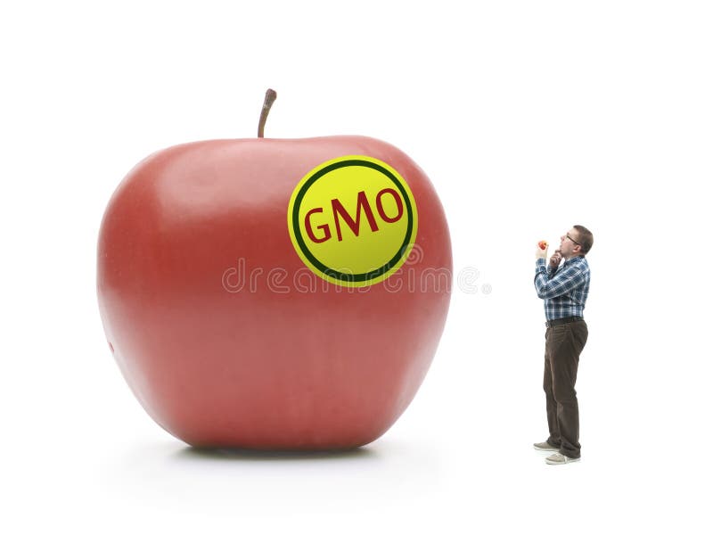 Man holding natural organic apple being bewildered when looking at giant GMO-modified red apple shot on white. Man holding natural organic apple being bewildered when looking at giant GMO-modified red apple shot on white