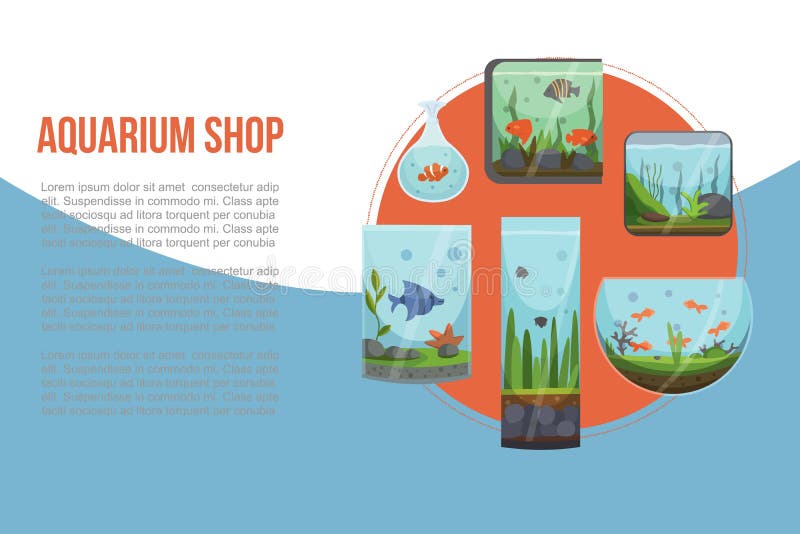 Aquariums with golden fish vector illustration banner. Fish aquarian house underwater tanks and bowl. Home and domestic aquarium shop with water and plants for print or web. Aquariums with golden fish vector illustration banner. Fish aquarian house underwater tanks and bowl. Home and domestic aquarium shop with water and plants for print or web.