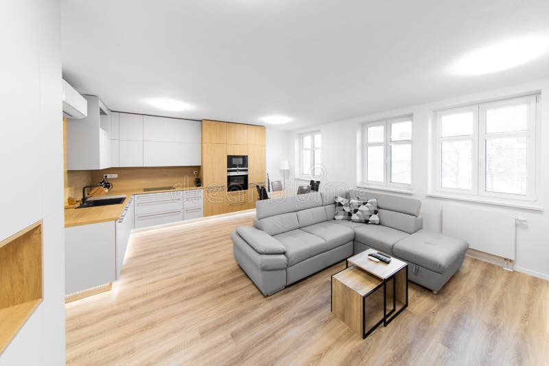 Bratislava, Slovakia, March 2, 2019: modern kitchen with black sink, air conditioning and built-in appliances and living room with grey sofa. Bratislava, Slovakia, March 2, 2019: modern kitchen with black sink, air conditioning and built-in appliances and living room with grey sofa