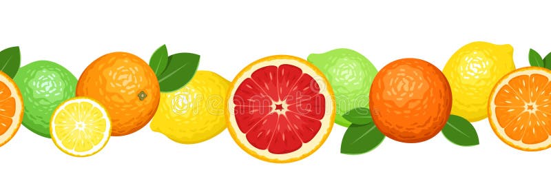 Illustration of horizontal seamless background with oranges, lemons, limes and grapefruits. Illustration of horizontal seamless background with oranges, lemons, limes and grapefruits.