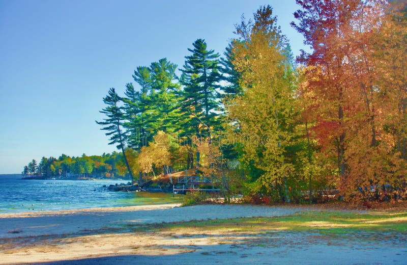 Large, tall evergreens and deciduous trees together on a spit of land jutting out into Lake Sebago in autumn, bright greens, yellows and reds; another colorful promontory in background; depth, landscape, sandy beach. Large, tall evergreens and deciduous trees together on a spit of land jutting out into Lake Sebago in autumn, bright greens, yellows and reds; another colorful promontory in background; depth, landscape, sandy beach