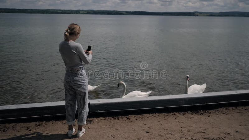 年轻女人夏天在湖上拍电话天鹅