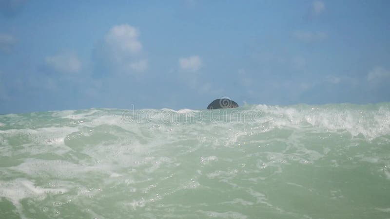 年轻英俊的人游泳在海和飞溅在慢动作的巨型波浪 1920x1080