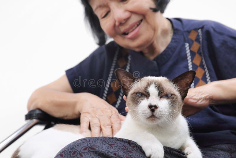 Elderly woman relaxed with her cat on white background. Elderly woman relaxed with her cat on white background.
