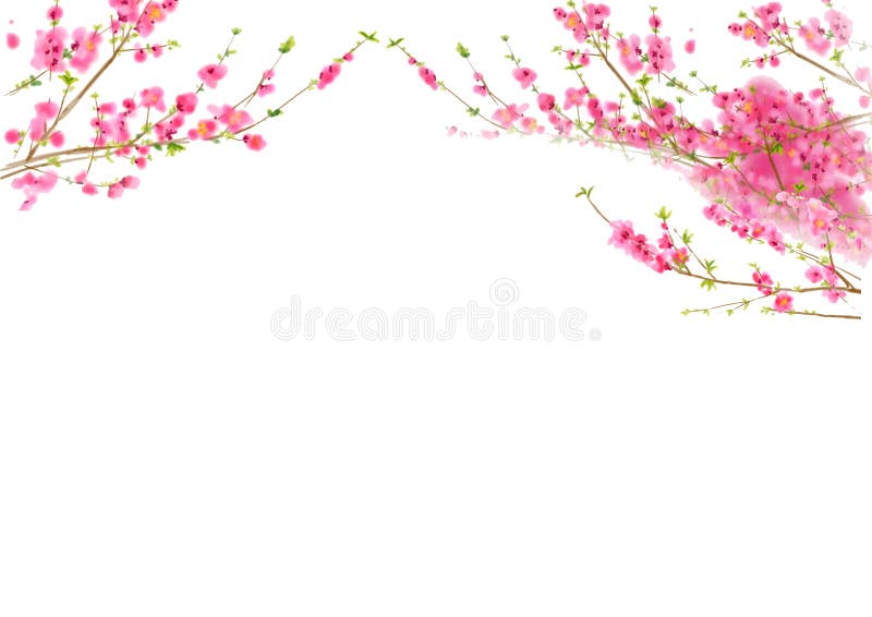 开花樱桃桃子春天 皇族释放例证 开花樱桃桃子春天 皇族释放例证