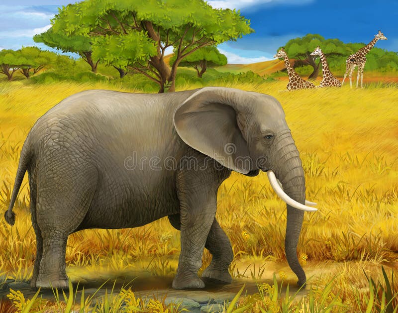 Beautiful and colorful illustration of a elephant. Beautiful and colorful illustration of a elephant