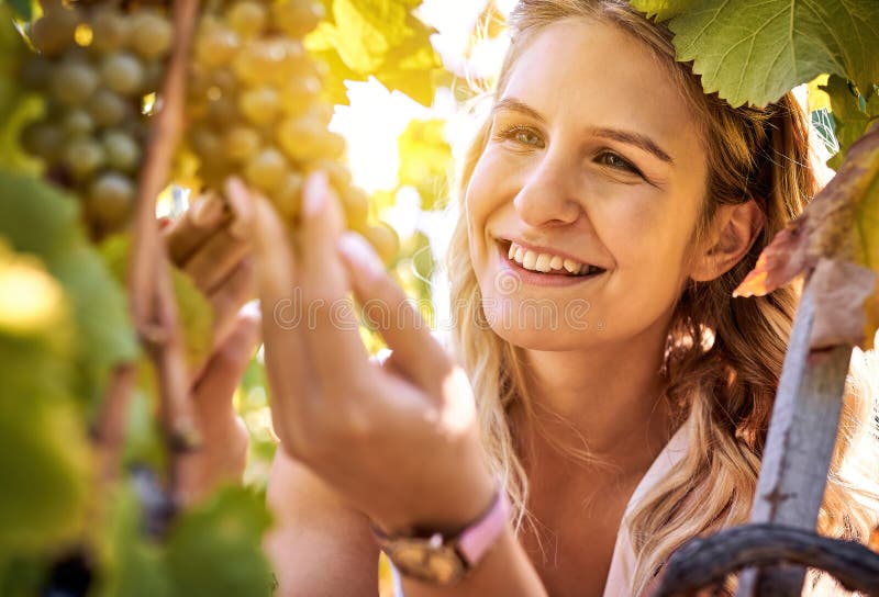 微笑的年轻女子在酒棚里举着一串葡萄，并检查收获葡萄的千禧一代女孩是否成熟了 免版税库存图片