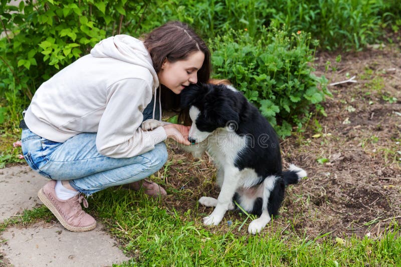 微笑的年轻有吸引力妇女拥抱huging的逗人喜爱的小狗博德牧羊犬在夏天城市公园室外背景中 免版税库存图片 微笑的年轻有吸引力妇女拥抱huging的逗人喜爱的小狗博德牧羊犬在夏天城市公园室外背景中 免版税库存图片