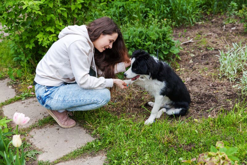 微笑的年轻有吸引力妇女拥抱huging的逗人喜爱的小狗博德牧羊犬在夏天城市公园室外背景中 图库摄影 微笑的年轻有吸引力妇女拥抱huging的逗人喜爱的小狗博德牧羊犬在夏天城市公园室外背景中 图库摄影