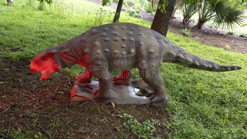 Pictured is an animated Minmi dinosaur sculpture on display at the Fort Worth Botanic Garden in Texas. This small, quadrupedal, herbivorous dinosaur was first discovered in Minmi Crossing, Australia. Its head, neck, and body were covered by bony armor, very much like the armadillo of today. It weighed approximately 660 pounds and was up to 9.8 feet in length. It lived during the Early Cretaceous period between 120 and 112 million years ago. Pictured is an animated Minmi dinosaur sculpture on display at the Fort Worth Botanic Garden in Texas. This small, quadrupedal, herbivorous dinosaur was first discovered in Minmi Crossing, Australia. Its head, neck, and body were covered by bony armor, very much like the armadillo of today. It weighed approximately 660 pounds and was up to 9.8 feet in length. It lived during the Early Cretaceous period between 120 and 112 million years ago.