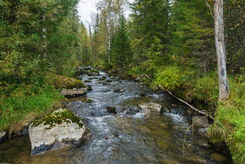 Fast stream inflowing to Nichka river. Eastern Sayan range, Krasnoyarsk region, Siberia, Russia. Horizontal shot. Fast stream inflowing to Nichka river. Eastern Sayan range, Krasnoyarsk region, Siberia, Russia. Horizontal shot