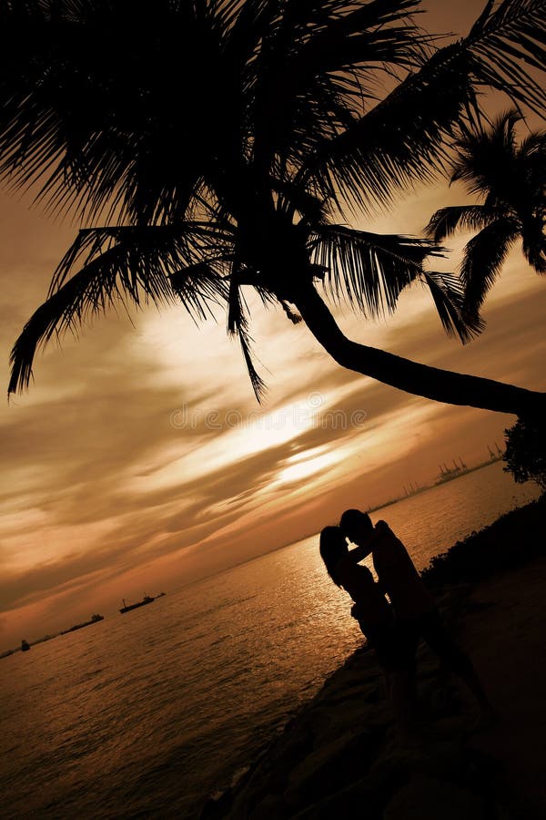 Lover Under Palm Trees in unique angle. Lover Under Palm Trees in unique angle