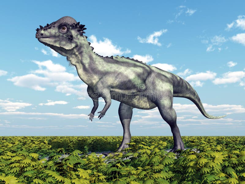 Computer generated 3D illustration with the Dinosaur Pachycephalosaurus. Computer generated 3D illustration with the Dinosaur Pachycephalosaurus