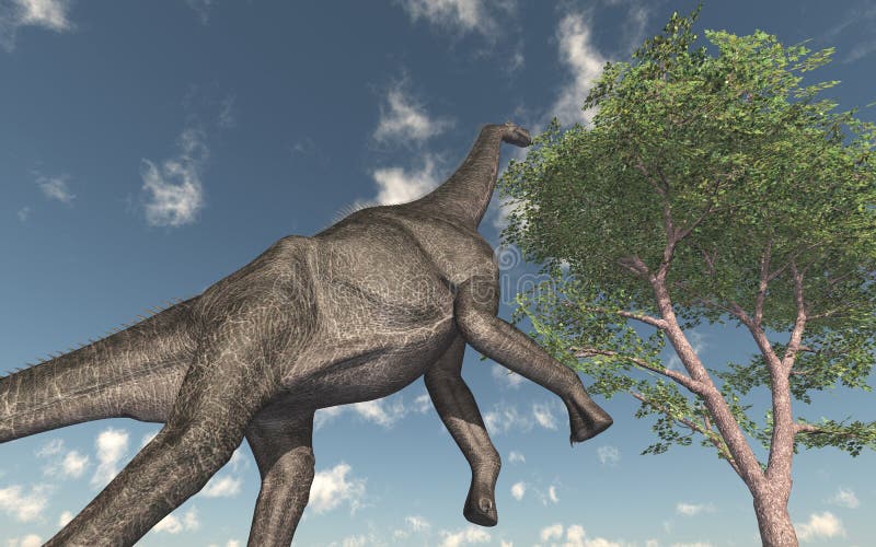 Computer generated 3D illustration with the dinosaur Brachiosaurus. Computer generated 3D illustration with the dinosaur Brachiosaurus