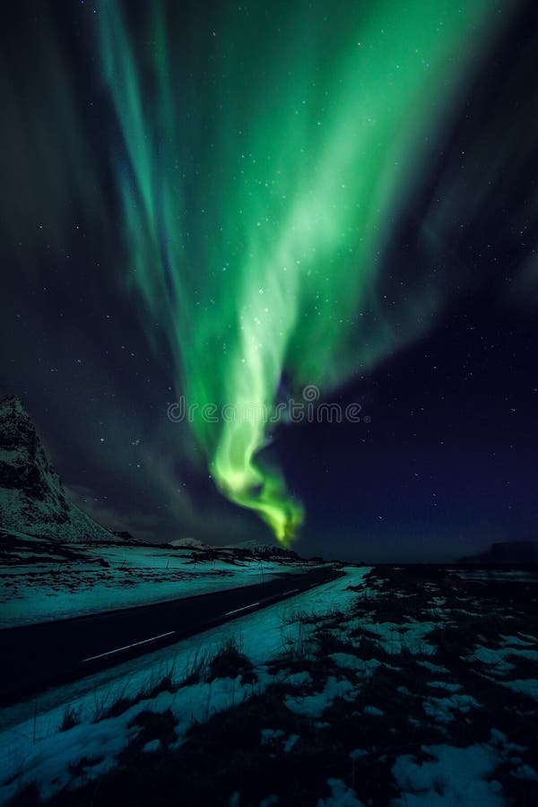 惊人的多彩多姿的绿色极光Borealis也知道,当在夜空的北极光在Lofoten环境美化,挪威, Scandinav 免版税库存图片 惊人的多彩多姿的绿色极光Borealis也知道,当在夜空的北极光在Lofoten环境美化,挪威, Scandinav 免版税库存图片