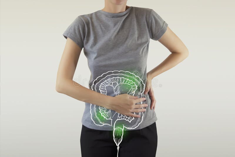 感染小肠复合图像突出女性身体绿色