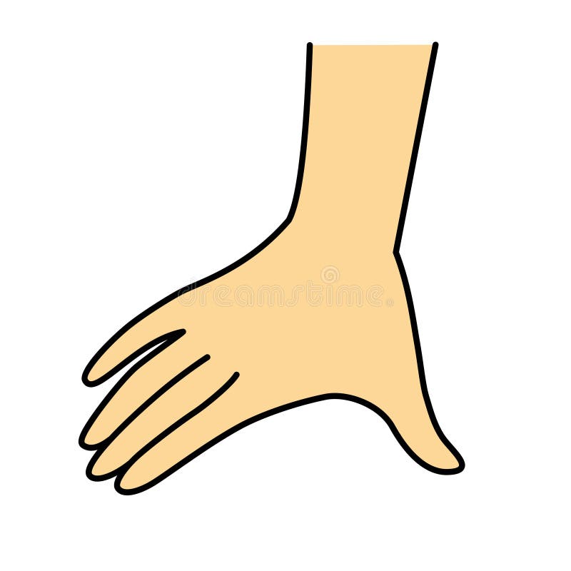 Back of the Hand, Hand Span Stock Image Illustration of young