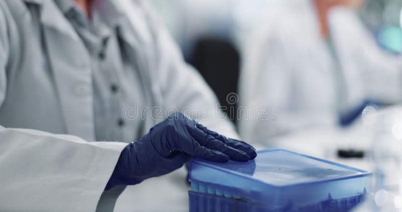 手套和实验室血样,带盒进行试验评估或临床分析. 科学家 股票录像
