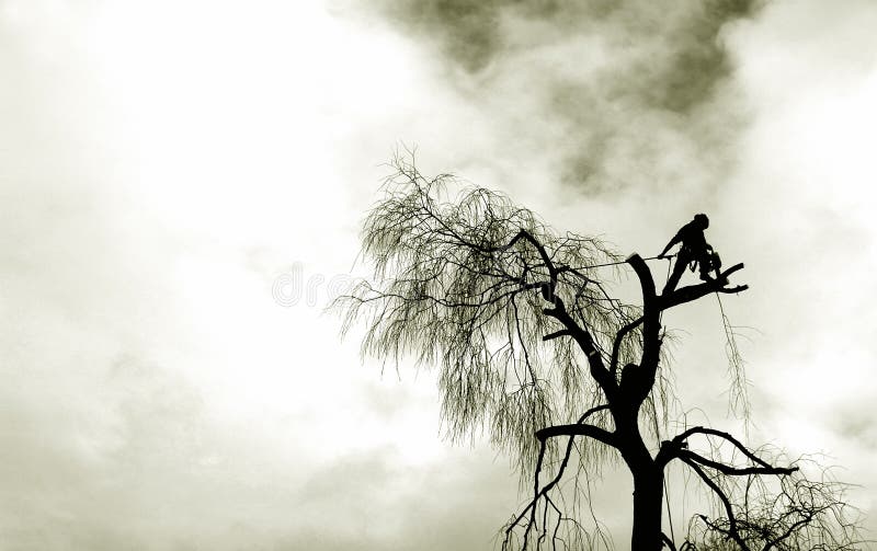 Grunge silhouette of a logger working at height. Grunge silhouette of a logger working at height