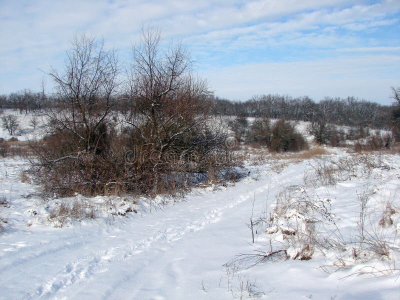 A panorama of a barely trodden path in the forest belt of the snowy steppe under the rays of the blinding frosty sun against the background of the white-blue sky on the horizon. A panorama of a barely trodden path in the forest belt of the snowy steppe under the rays of the blinding frosty sun against the background of the white-blue sky on the horizon.