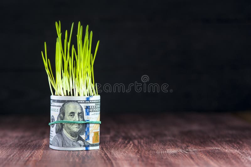 投资成长:绿草和美金 免版税库存照片