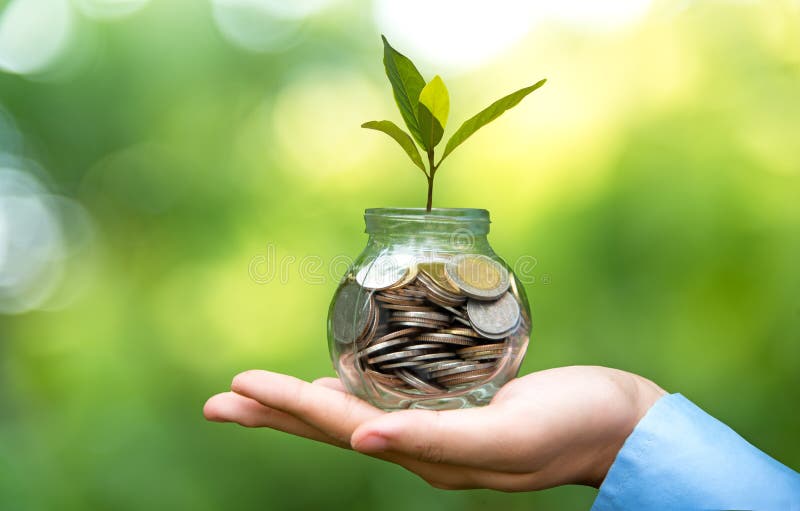 拿着硬币金钱盖子生长植物的商人手 种植生长在与过滤器作用的硬币,小的金钱外面增长和 图库摄影 拿着硬币金钱盖子生长植物的商人手 种植生长在与过滤器作用的硬币,小的金钱外面增长和 图库摄影