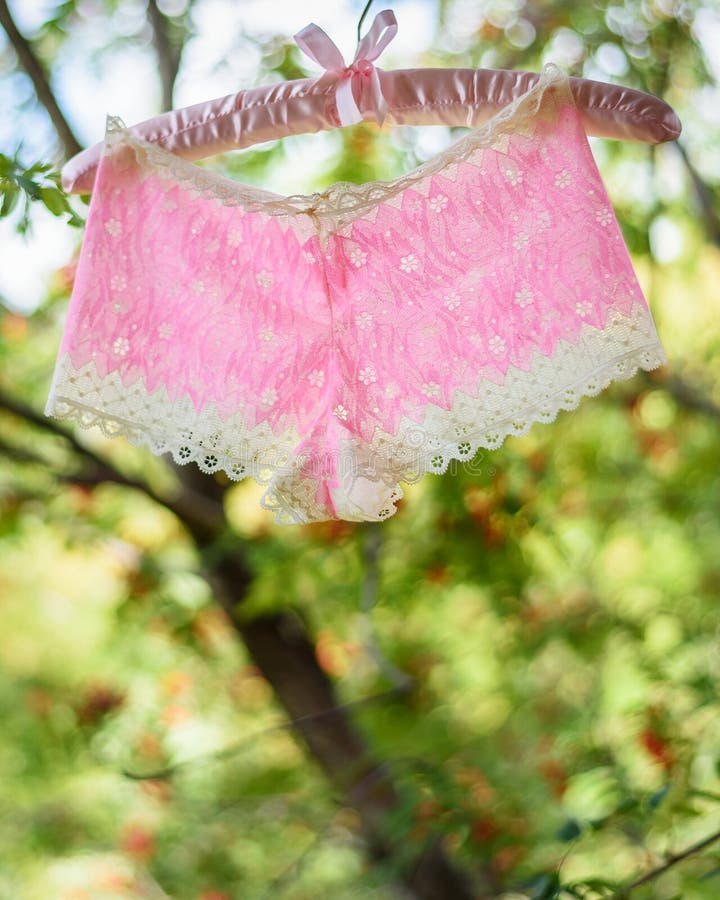 Pink lingerie hanging on hanger on nature background. Pink lingerie hanging on hanger on nature background