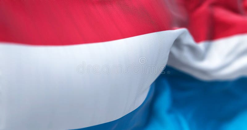 挥舞着卢森堡国旗的特写 库存例证