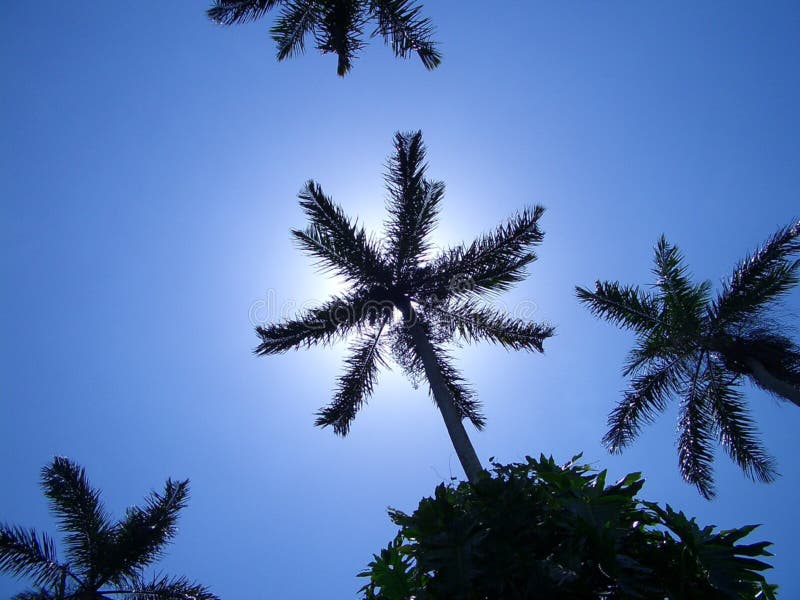 掌上型计算机天空 图库摄影