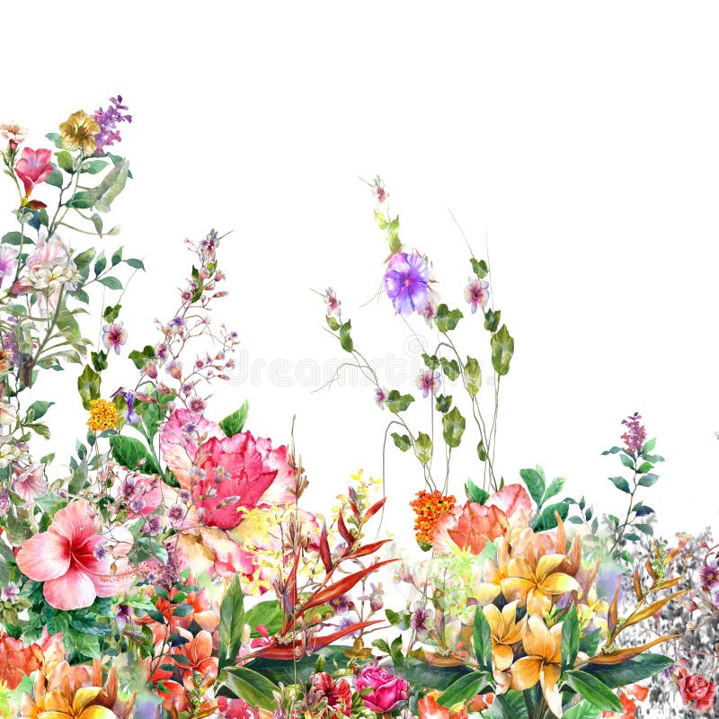 摘要开花水彩绘画 春天多彩多姿的花 皇族释放例证